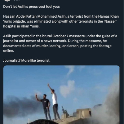 Going Rogue With Caitlin Johnstone