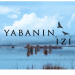 Yaban?n ?zi