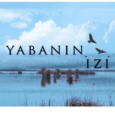 Yaban?n ?zi