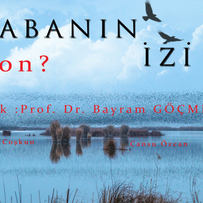 Yaban?n ?zi