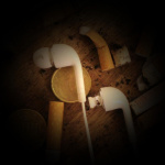 Thomas C. Neviuss Posts