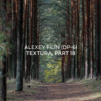 Alexey Filin (DP-6) - Textura, part 18