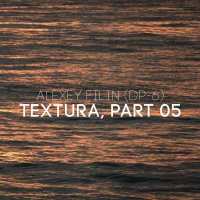 Alexey Filin (DP-6) - Textura, part 05