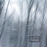 Alexey Filin (DP-6) - Changes