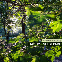 Vadim Indigo (DP-6) - Daytime Set @ Park (Live 2020-07-18)