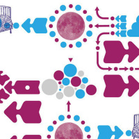 1: Somewhere In Dreamland.