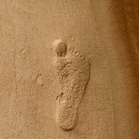 Ekologiska fotavtryck - Carina Borgström-Hansson.MP3