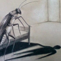 La metamorfosis, de Frank Kafka