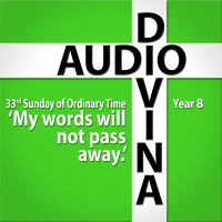 My words will not pass away