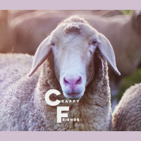 42: Episode 39: Be Better