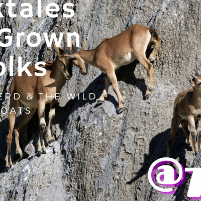 Folktales For Grownfolks