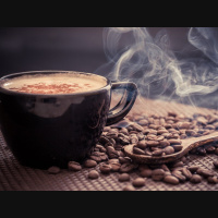 EP5 什么是精品咖啡