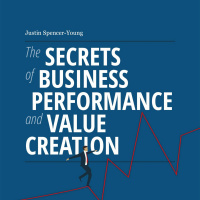 010 Reflecting On My Forced Business Pivot