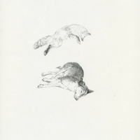 Hier - wij waren sommigen