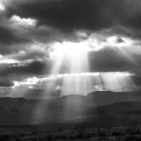 Kevin - chasing the sunlight