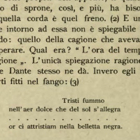 Believer - Tristi Fummo