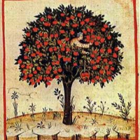 Uitzending Onder De Zure Appelboom Voor Straf