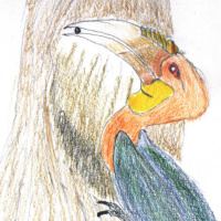 uitzending IN MIJN SCHADUW GEBEUREN DINGEN april 25 omgeving zonder farbodlied