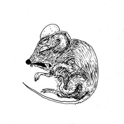 Radio Begijnenstraat