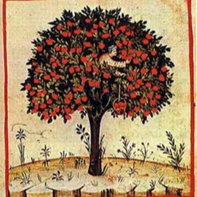 Radio Begijnenstraat