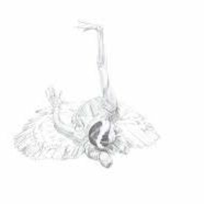 Radio Begijnenstraat