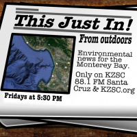 This Just In From Outdoors ~ 31 January 2019