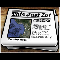 This Just In From Outdoors ~ 2019-04-11