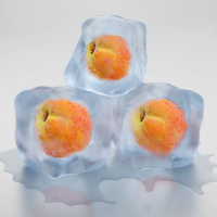 More Free Speech  Privacy with ZenCash Co-Founder Rob Viglione - YMB Podcast E256