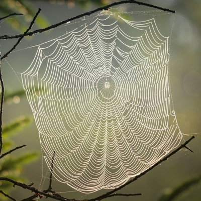 You, Me, And Btc: Liberty  Bitcoin