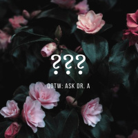 QOTW: Whats Your Take on altMBA by Seth Godin?