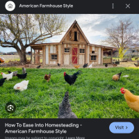 BS with Bob - Homesteading with Pools and Hot Tubs