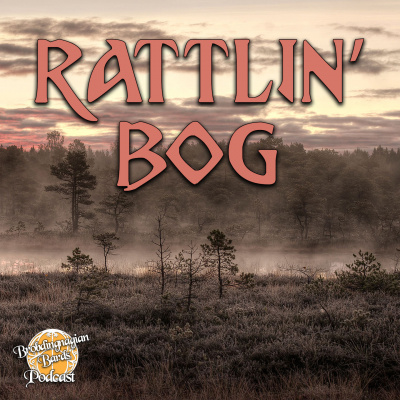 Brobdingnagian Bards Podcast