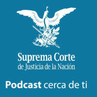 Podcast 163: Autoridades obligadas a ajustar procedimientos cuando en juicio este involucrada persona con discapacidad.