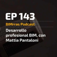143 Desarrollo profesional BIM