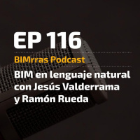 116 BIM en lenguaje natural