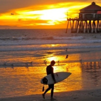 Sol, Amor y Flores: 25 dosis de pop de los sesenta