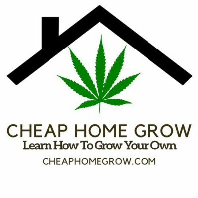 Cheap Home Grow. Lets Into The Weeds Of The Conversation