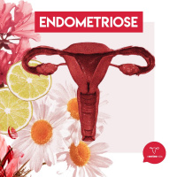16 - Endometriose - Ventre Nós Podcast