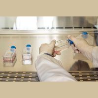 Shirika la Umoja wa Mataifa la afya,WHO laongeza orodha ya dawa muhimu