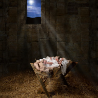 4 Steps to Joy and Light