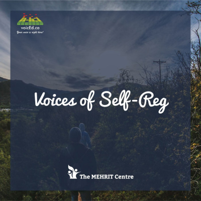 Voices Of Self-reg