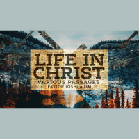 Life in Christ | Various Passages 