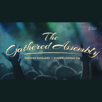 The Gathered Assembly | Various Passages