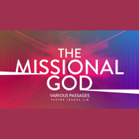 The Missional God