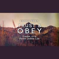 Trust and Obey | Exodus 4-1-31