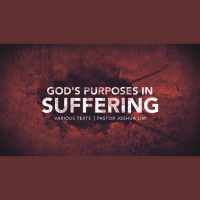 Gods Purpose in Suffering