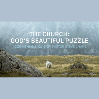 The Church: Gods Beautiful Puzzle | 1 Corinthians 12:12-27