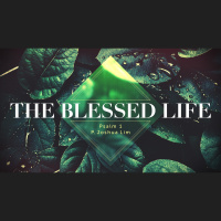 The Blessed Life