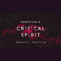 Removing a Critical Spirit