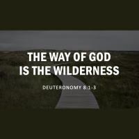 The Way of God is the Wilderness | Deuteronomy 8:1-3, 16